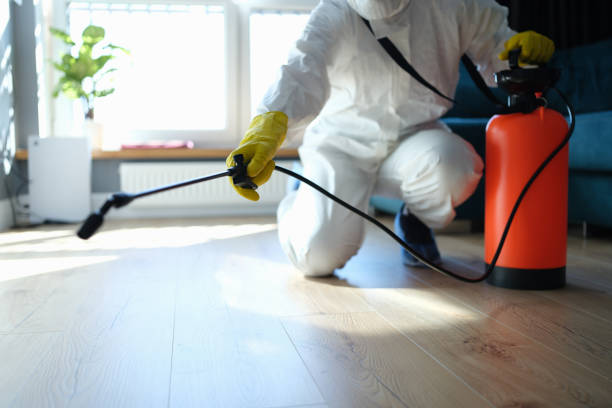 Reliable Odor Removal contractor in Houston, TX by Trauma Clean Pros